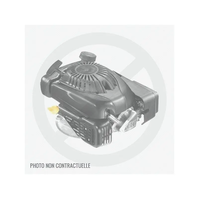 Super Prix Moteur GGP TRE224 (moteur de remplacement complet)