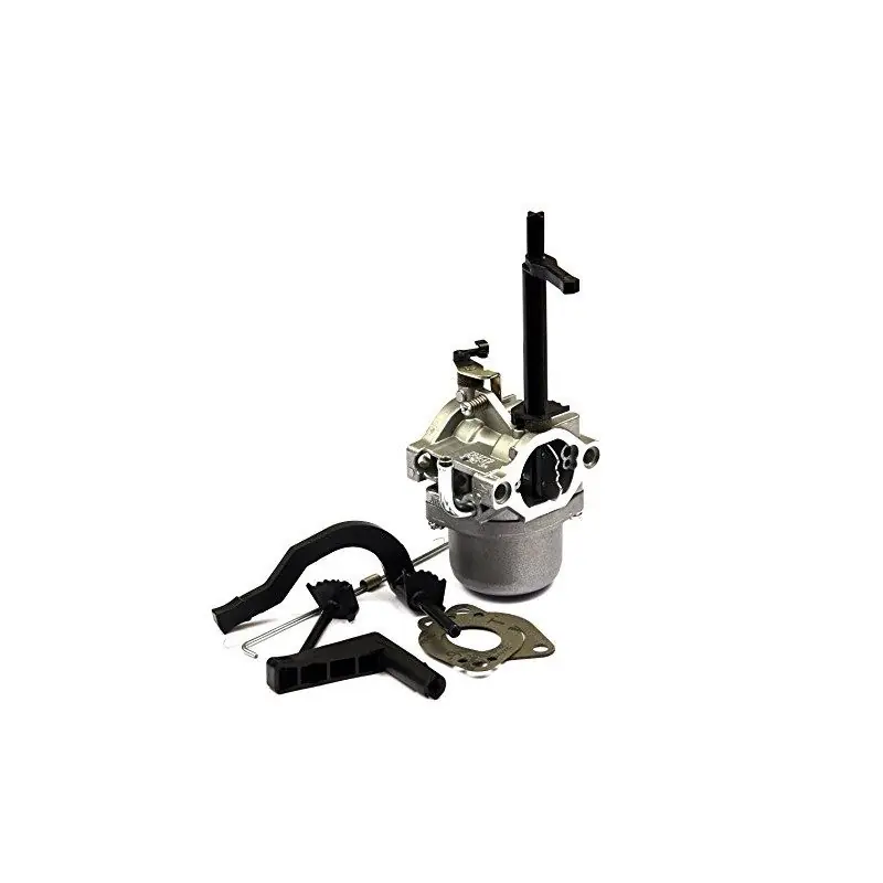 Populaire Carburateur Briggs Stratton Intek I/C 8,0 HP OHV