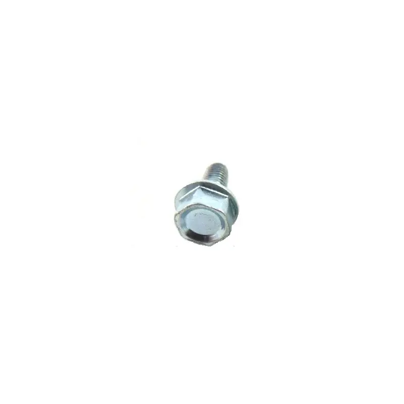 Top Vente CP026016 – Vis auto-foreuse pour Tondeuse MARINA