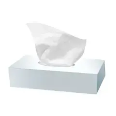 Carton de 40 boîtes de 100 mouchoirs Ecolabel en ouate de cellulose blanc à 2 plis - 643728 Réduction