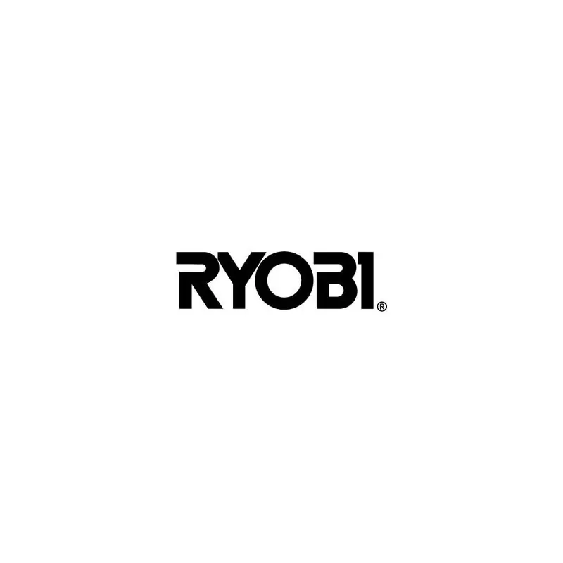 Moteur pour perforateur RYOBI RSDS18X Promotion Saisonnière