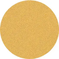 Offre Spéciale Feuille abrasive sans trou Expert C470 D 125mm G60 – BOSCH – 2608900952