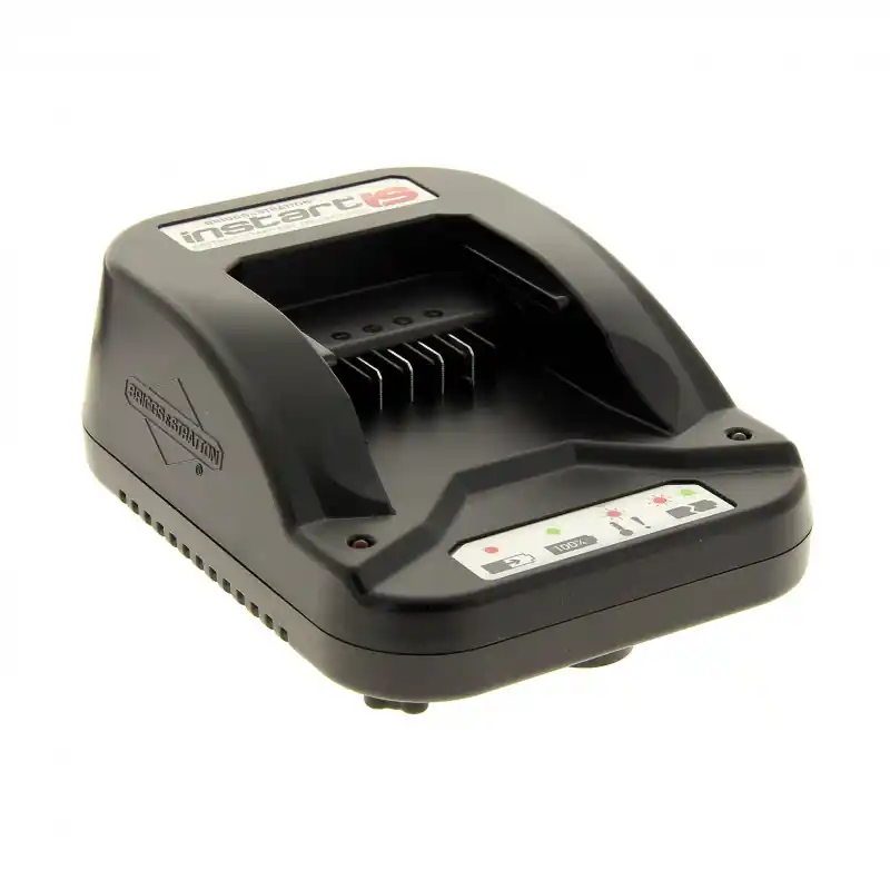 Certifié Chargeur batterie tondeuse Briggs Instart