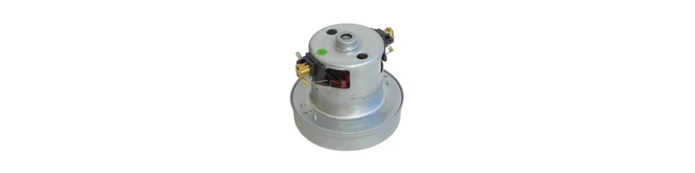 Authentique Le charbon moteur aspirateur