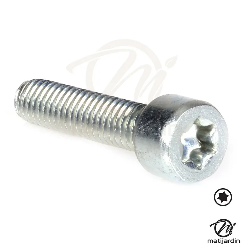 Offre Exclusive Vis Torx 27 M6 x 25 pour tronçonneuse Stihl 020T 020 MS200 200T