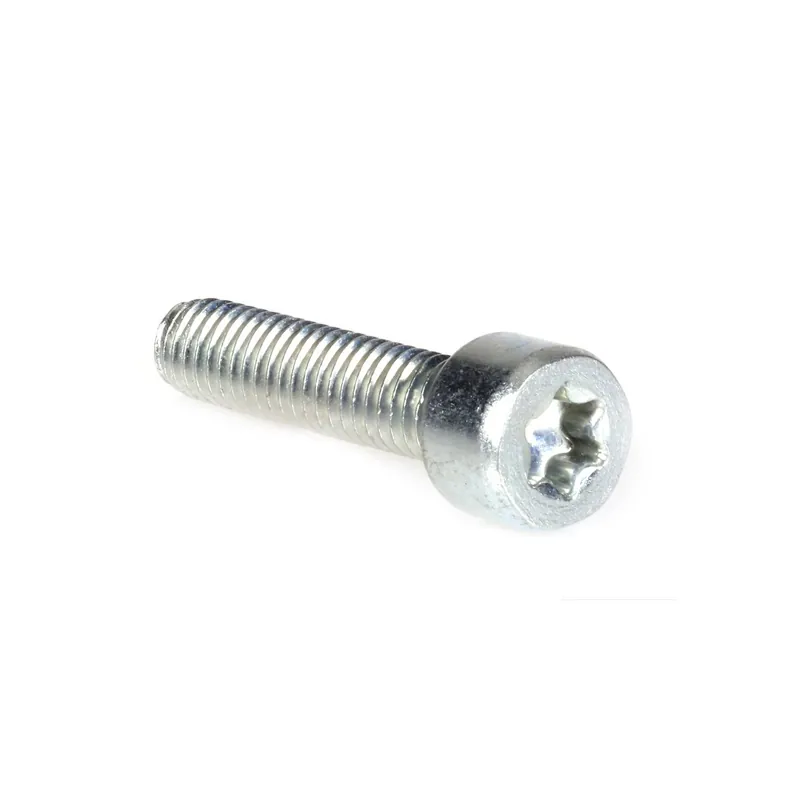 Commander Vite Vis Torx 27 pour Stihl. x10. Type M6 x 25