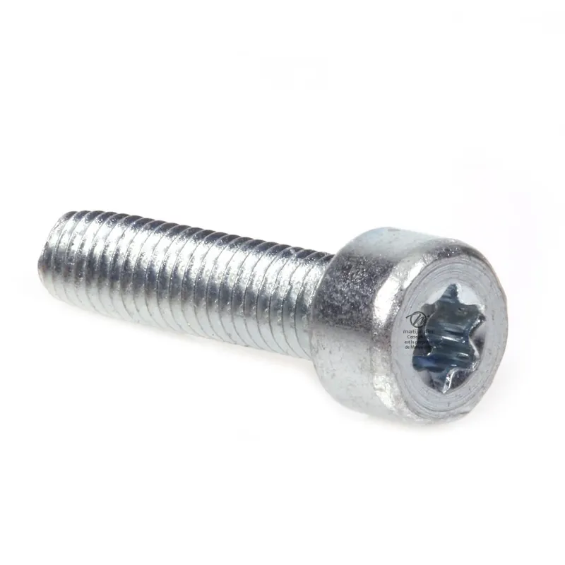 Achetez Aujourd&rsquo;hui Vis Torx 27 M5 x 20 pour tronçonneuse Stihl MS171 MS181 MS211
