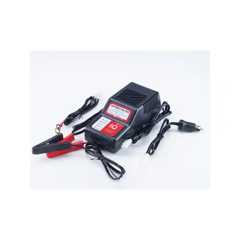 Acheter Direct Chargeur de batterie autoportée et tracteur de pelouse MTD