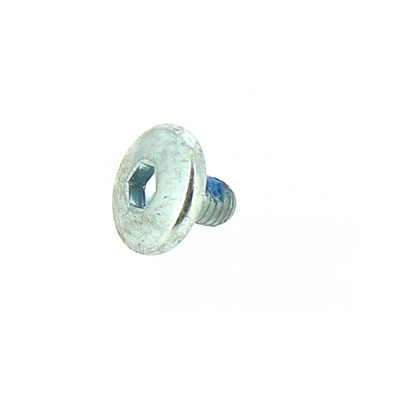 Acheter En Ligne 70171 – Vis de fixation de lame pour outillage OUTILS WOLF