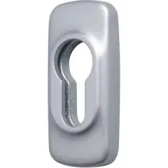 Rosace clé I HORUS gris – FAPIM – 2100B_G5 Dernière Chance
