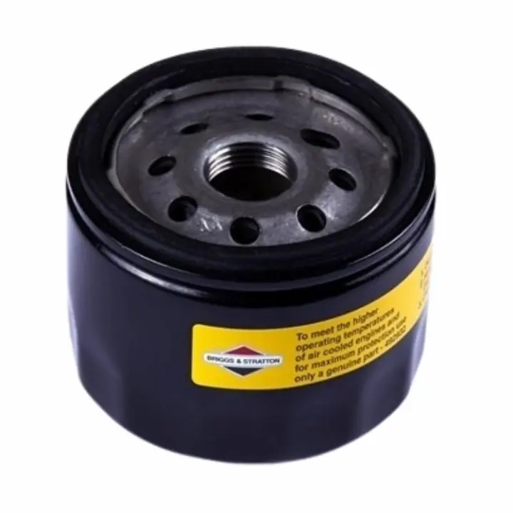 Expédition Rapide Filtre à Huile Briggs & Stratton 492932S