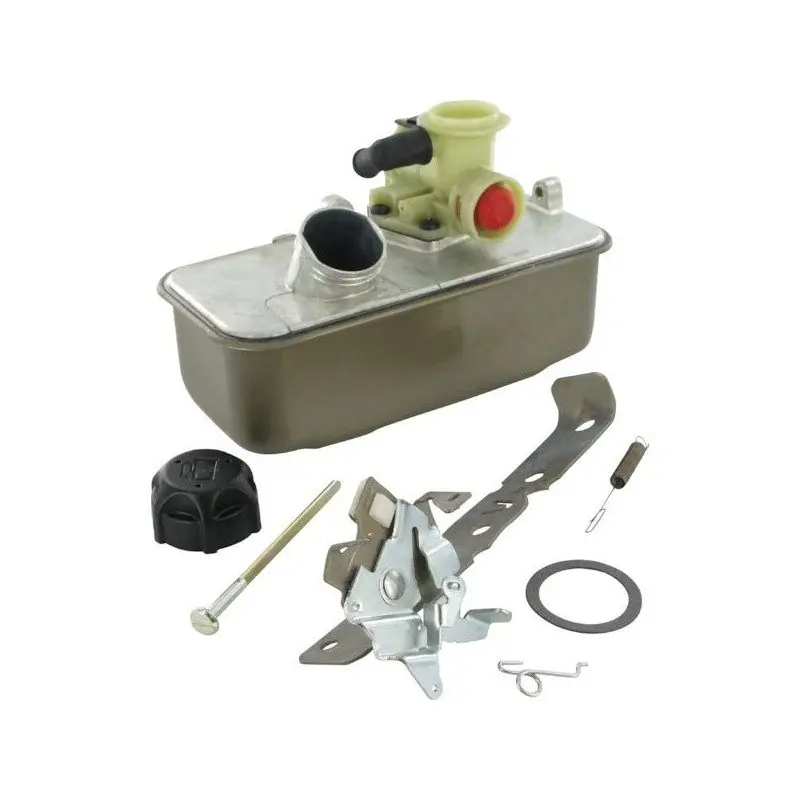 Acheter En Ligne Reservoir de carburant 495912 pour moteur Briggs & Stratton
