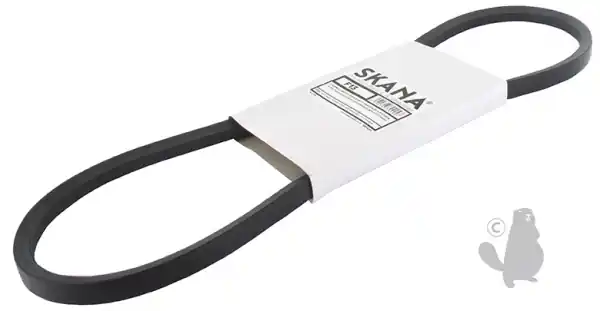 Courroie 1727.2mm SKANA Acheter Direct