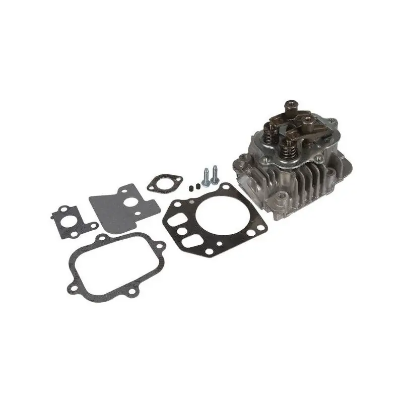 Culasse moteur Briggs Stratton 825 I/C Series Authentique