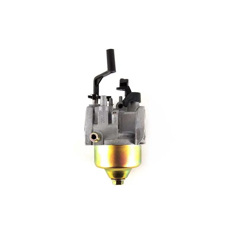 Carburateur de moteur MTD 5P70MH Meilleure Vente