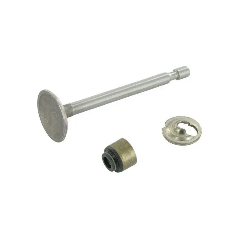 Soupape pour moteur Briggs and Stratton modèle 12 Jusqu'à Épuisement Des Stocks