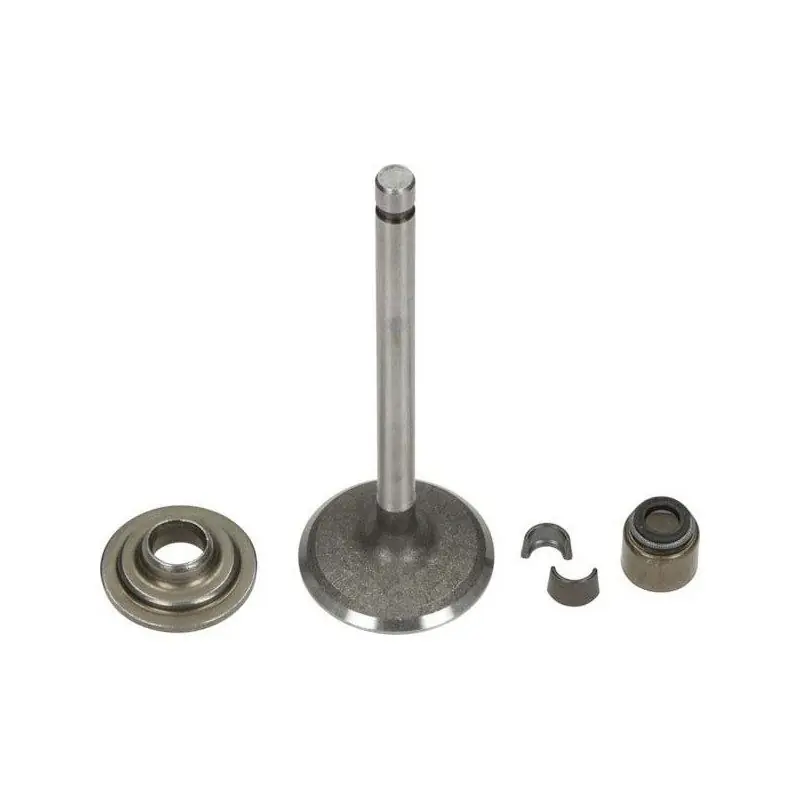 Soupape Briggs and Stratton 792200 pour moteur de tracteur tondeuse Expédition Rapide