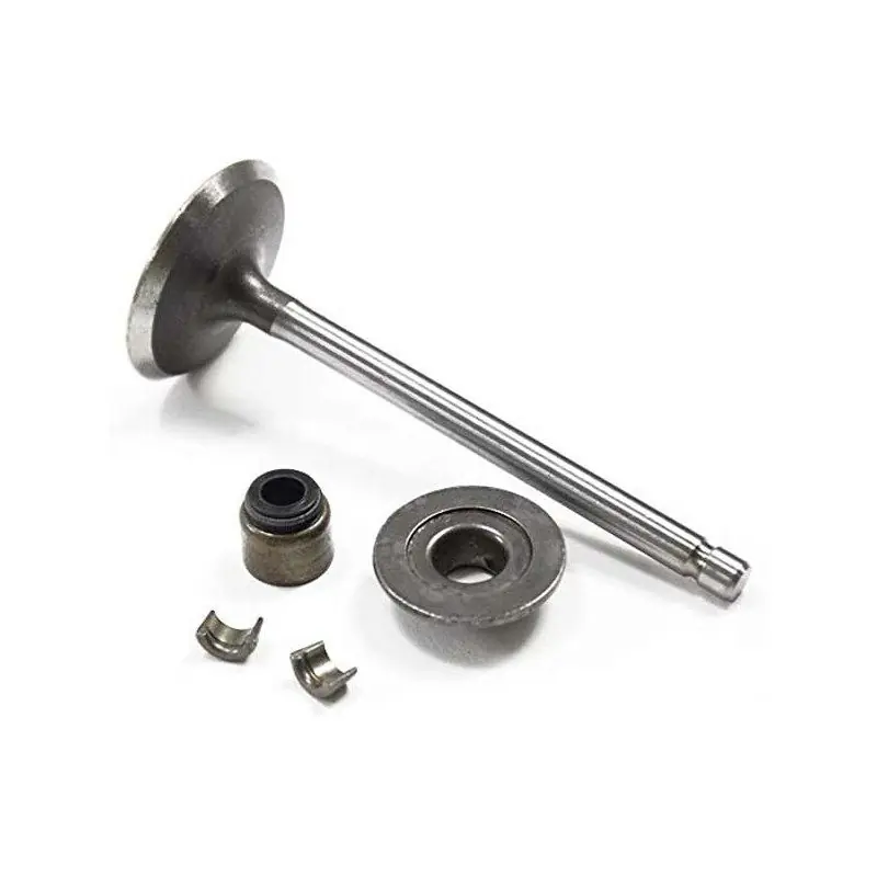 Soupape 793556 pour moteur Briggs et Stratton Offre Du Jour