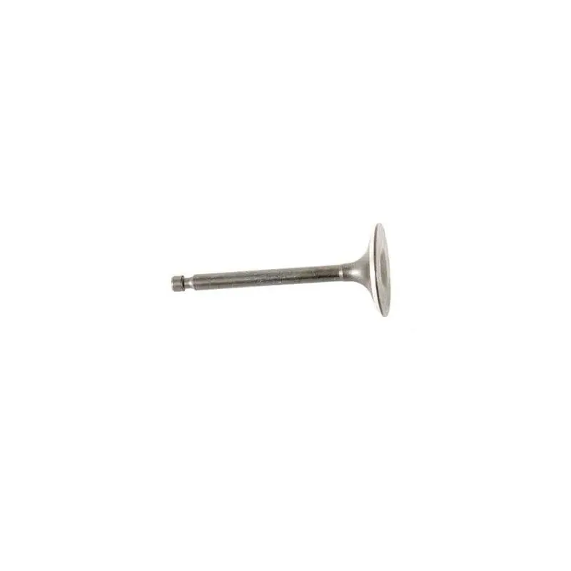 Soupape d‘admission pour rider de pelouse 76 cm MTD et Bestgreen Vente Flash