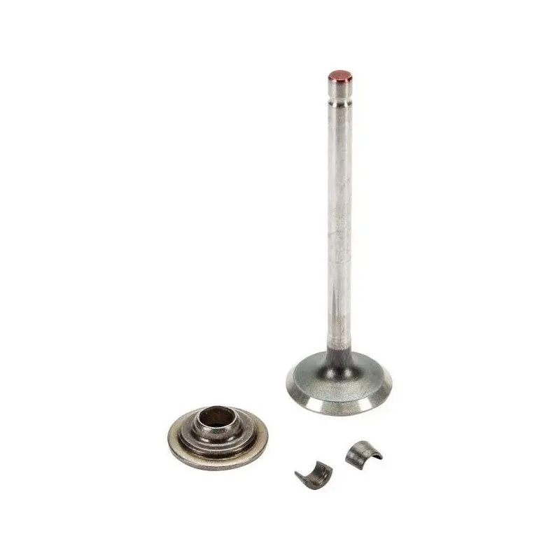 Soupape d‘echappement pour moteur Briggs Intek Serie 7 Promotion