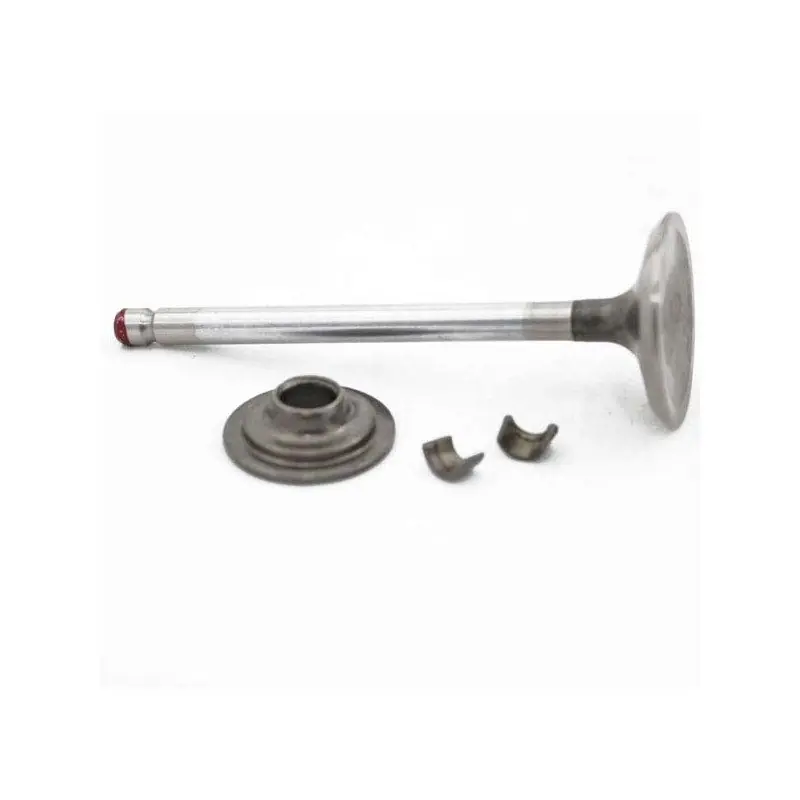 Nouvelle Collection Soupape echappement moteur Briggs Stratton Intek Serie 8