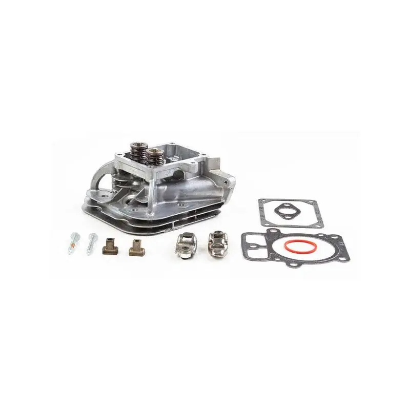 Kit culasse 796232 pour moteur Briggs Stratton bi cylindre Dernière Chance