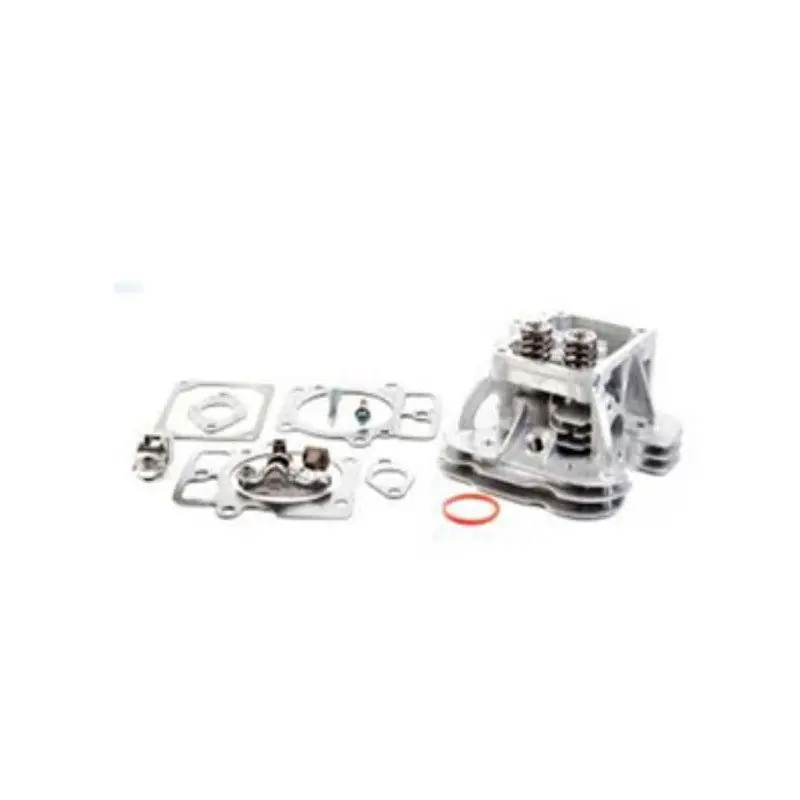 Pas Cher Kit culasse 84001919 pour moteur Briggs Stratton (cylindre 2)
