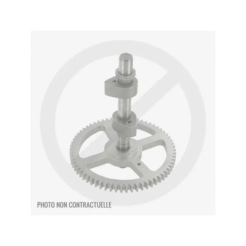 Pas Cher Arbre à cames pour moteur MTD 1P57NH et 1P57RH