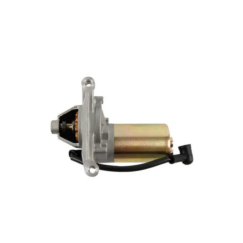 Démarreur pour tondeuse Cub Cadet CC 48 SPOE Promotion Saisonnière