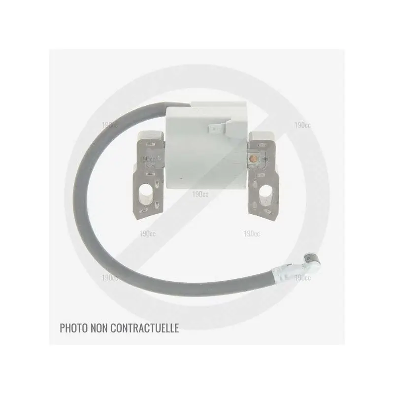 Acheter En Ligne Bobine pour tondeuse Mc Culloch à moteur RV170