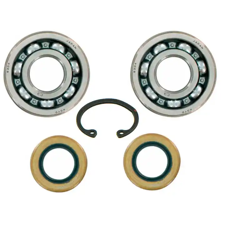 Kit Roulement Et Joint 5018562-01 Produit De Marque