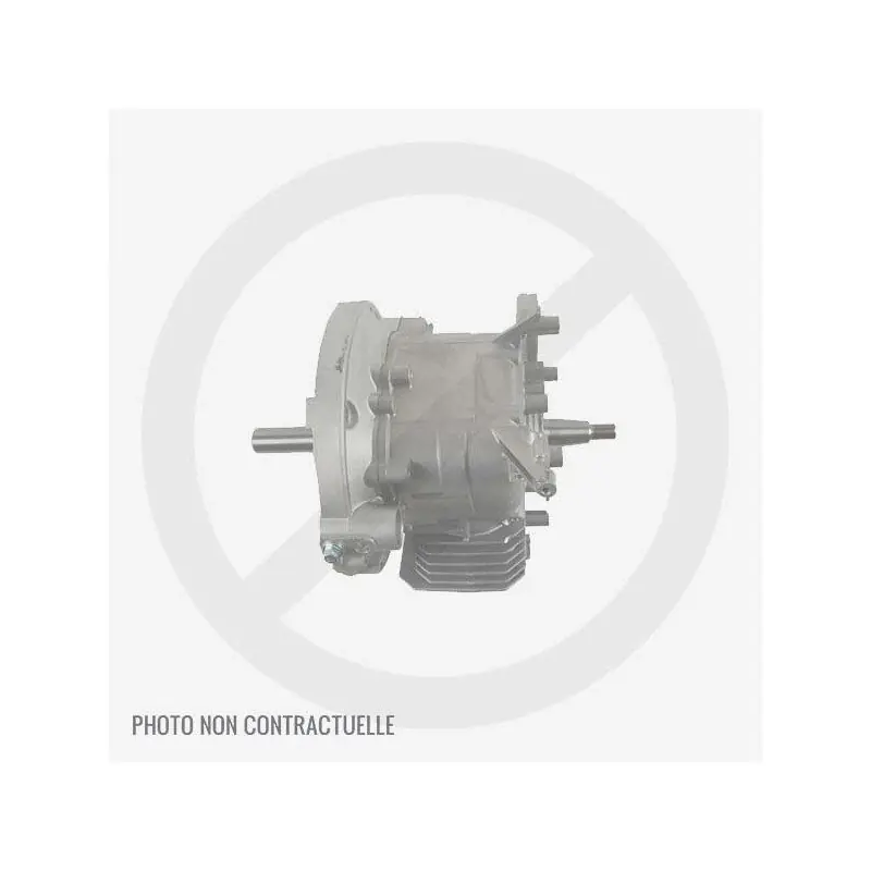 Remise Short bloc pour moteur MTD 5P70MHB