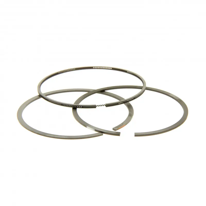 Segment Briggs Stratton 696403 Acheter Direct