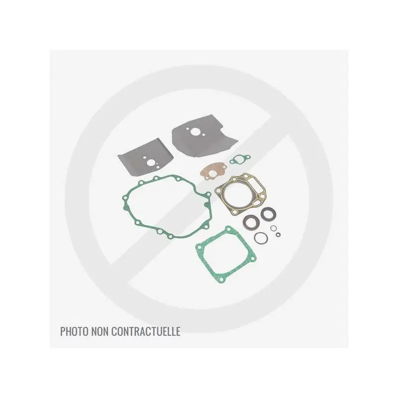 Must-Have Jeu de joint MTD 751-10746 pour MTD 1P70FHA et 5P70MH