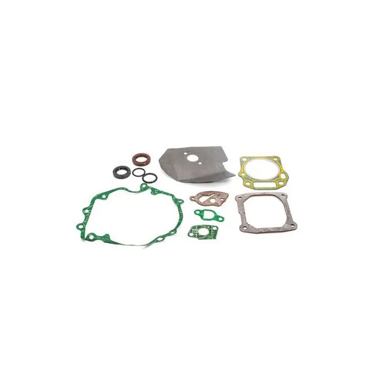 Paiement Sécurisé Kit joint 751-10317 pour moteur MTD 1P65FH