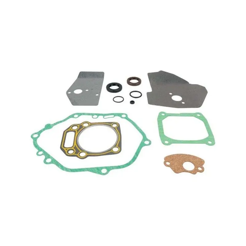 Jeu de joints MTD 751-10416 moteur 1P70FHA, 5P70MH Expédié Aujourd&rsquo;hui