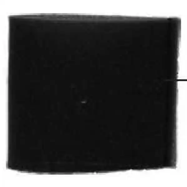Acheter En Ligne Filtre Mousse pour Aspirateur PARKSIDE – Haute Performance et Polyvalence