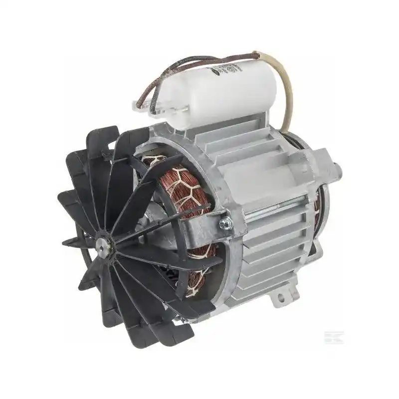 Moteur GGP 118563719/0 pour tondeuse à gazon electrique 1600 W Solde