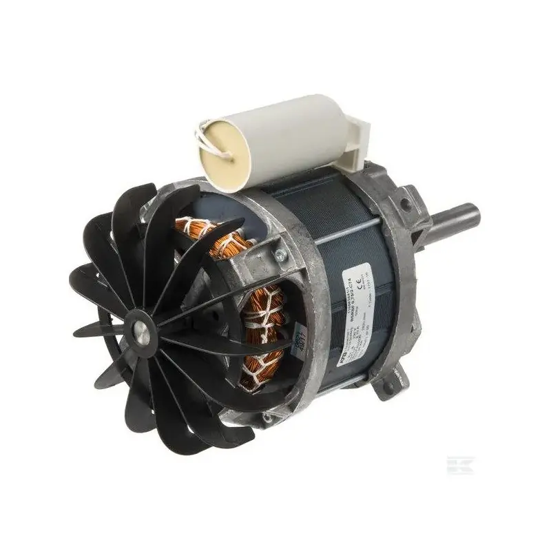 Commande En Gros Moteur electriqe 118563721/0 pour tondeuse à gazon 1800 Watts
