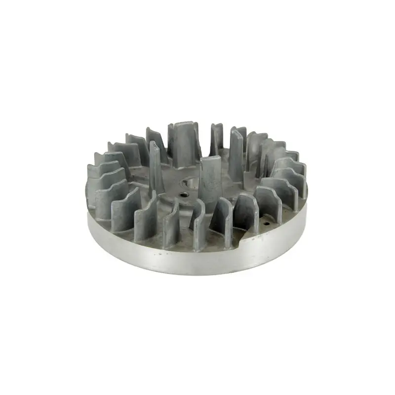 Volant moteur GGP 118550905/0 Meilleur Choix