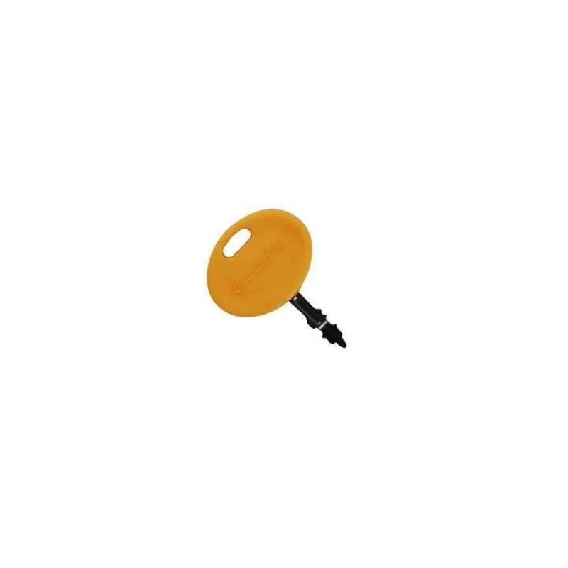 Clé de contact Cub Cadet 725-2054A Vente Directe