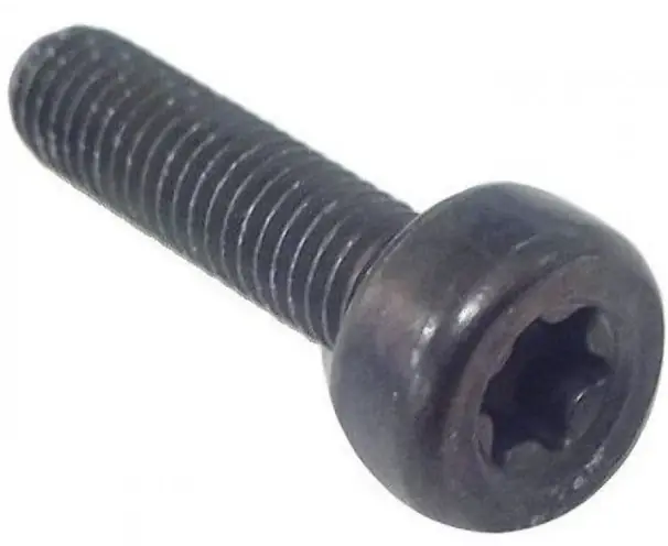 Satisfait Ou Remboursé Vis Torx D10, M5X20