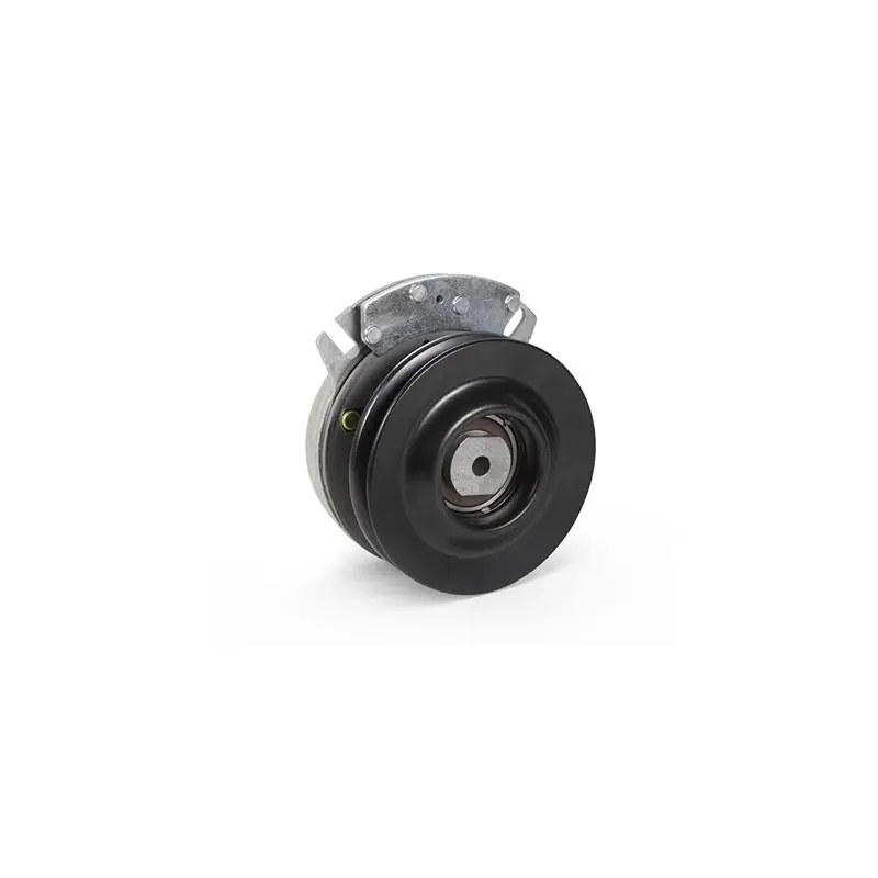 Pas Cher Embrayage de lame GGP 118399071/0 – Warner 5219-139