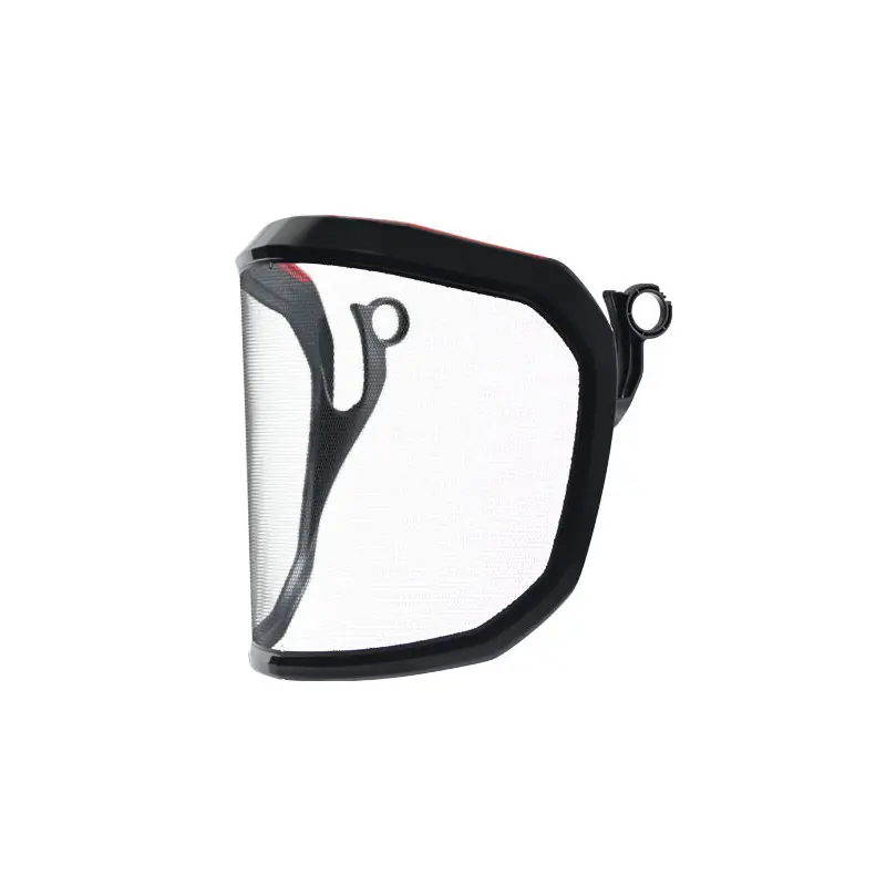Marque Visière pour casque Protos Pfanner
