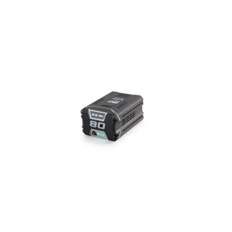 Meilleur Prix Batterie SBT 2580 AE pour matériel de jardin GGP 1111-9318-01