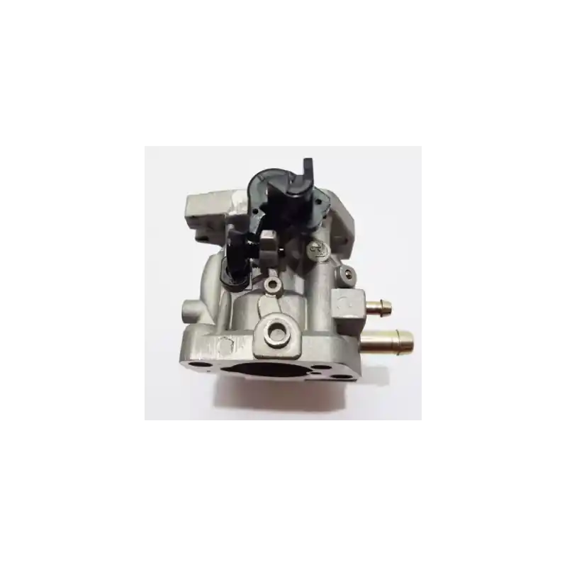 Carburateur pour moteur Hyundai 18316043 Prix Promo
