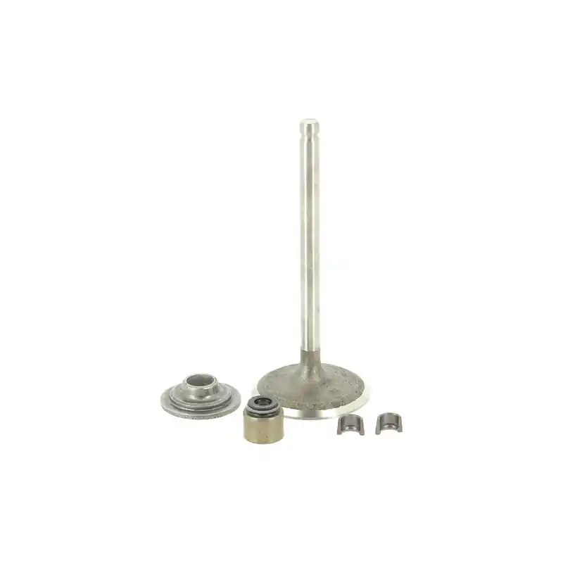 Soupape echappement moteur Briggs Stratton 84013513 Petit Prix
