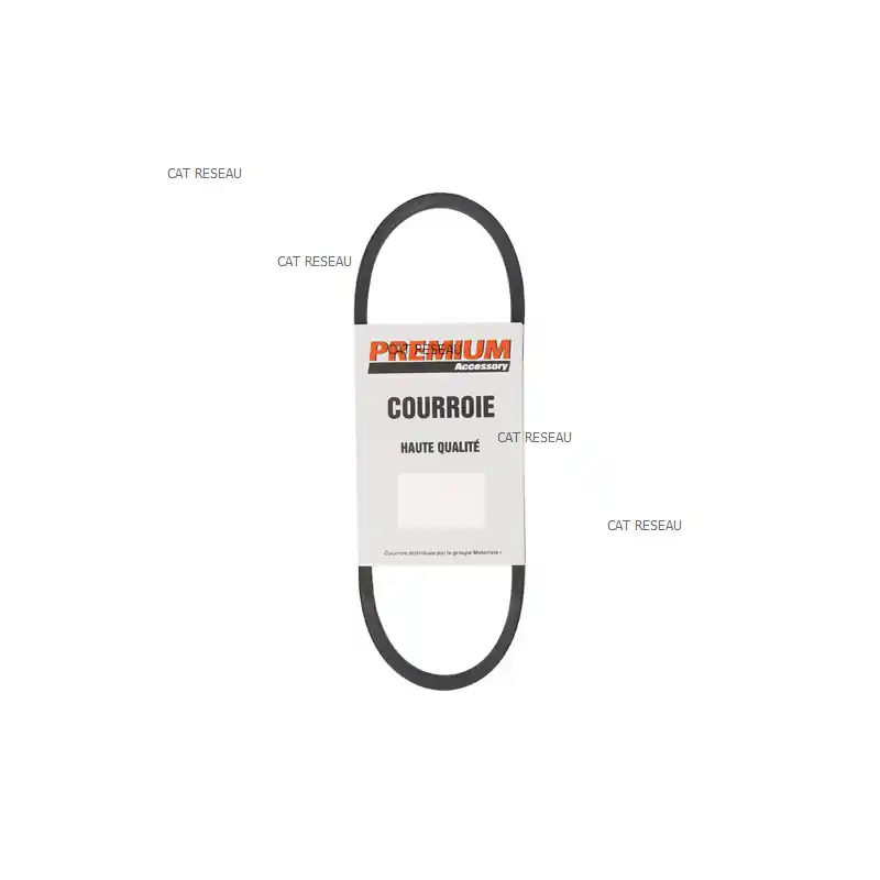 Prix Cassé Courroie pour tondeuse Oléo Mac G 53 – 3047025R