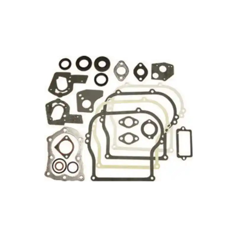 Prix Choc Kit joints Briggs & Stratton 791797 – Pièce origine moteur