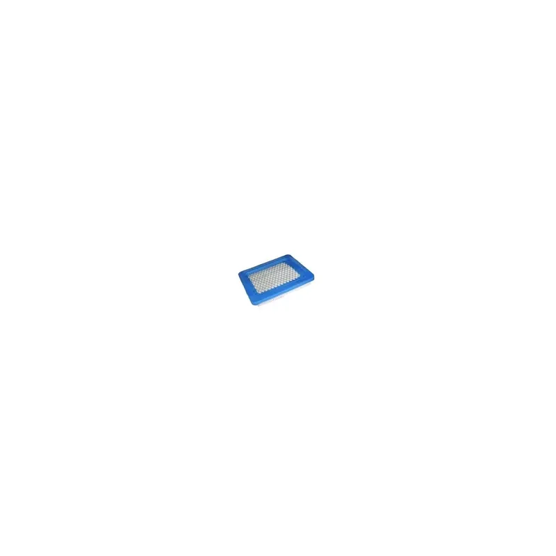 Réduction F1 Distribution – Filtre à air